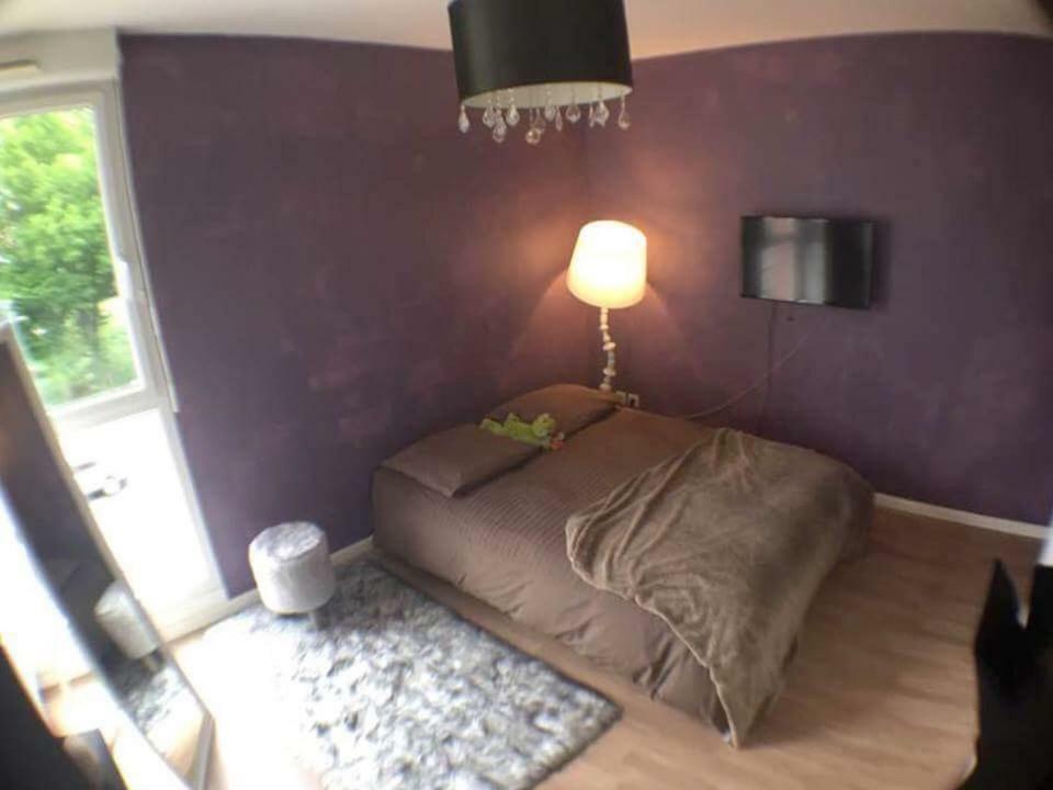 Le Topaze Apartment Colmar Exterior photo