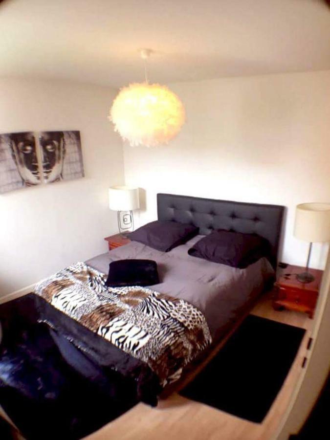 Le Topaze Apartment Colmar Exterior photo